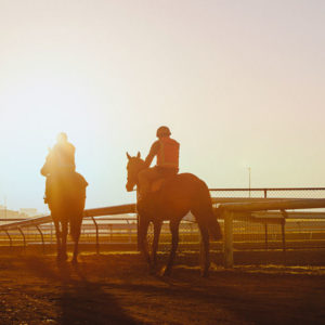 Small business example - Two horses trotting near a fence with sunset in background