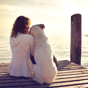 dog rests gently on his master's shoulder while looking at view