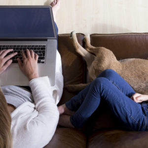 Woman working from home on laptop whilst her daughter is sleeping next to her, cuddling their pet dog