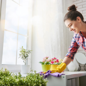 Spring Cleaning concept - young woman cleaning the house with flowers and plants in background