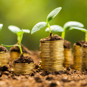 Coins with plants sprouting representing superannuation growth