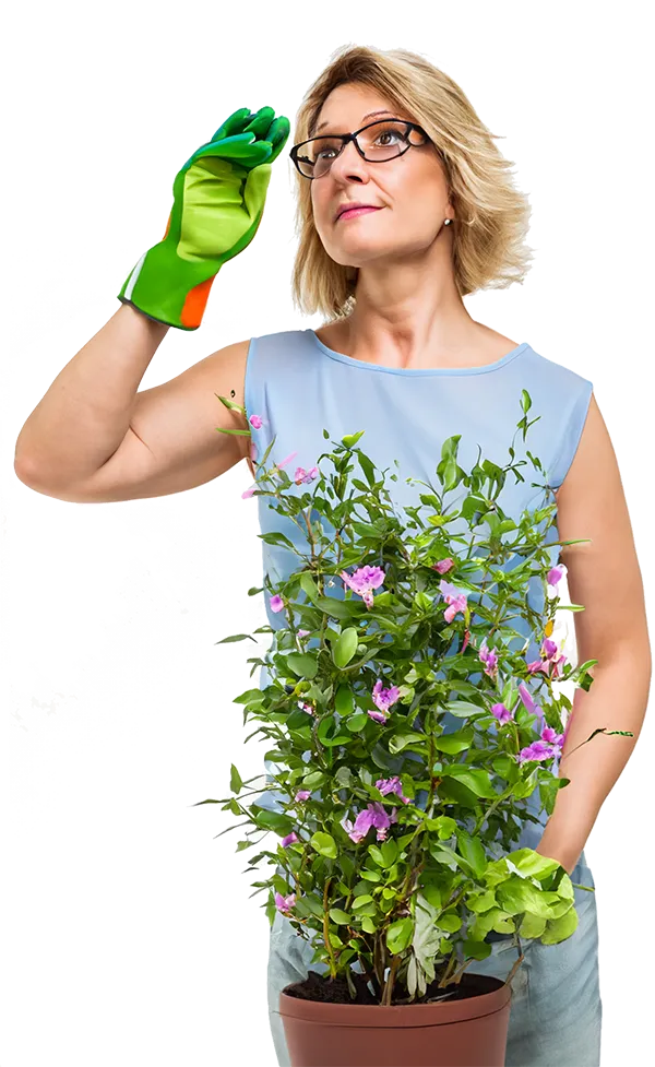 lady gardening lady gardening